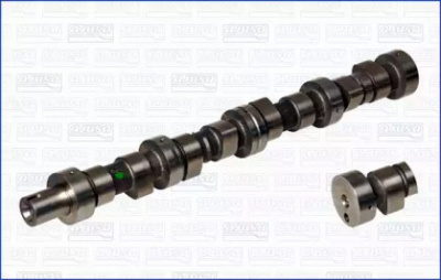 WILMINK GROUP wg1171260 -  Распредвал